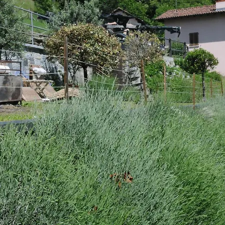 Casa Della Lavanda Ferienhaus *